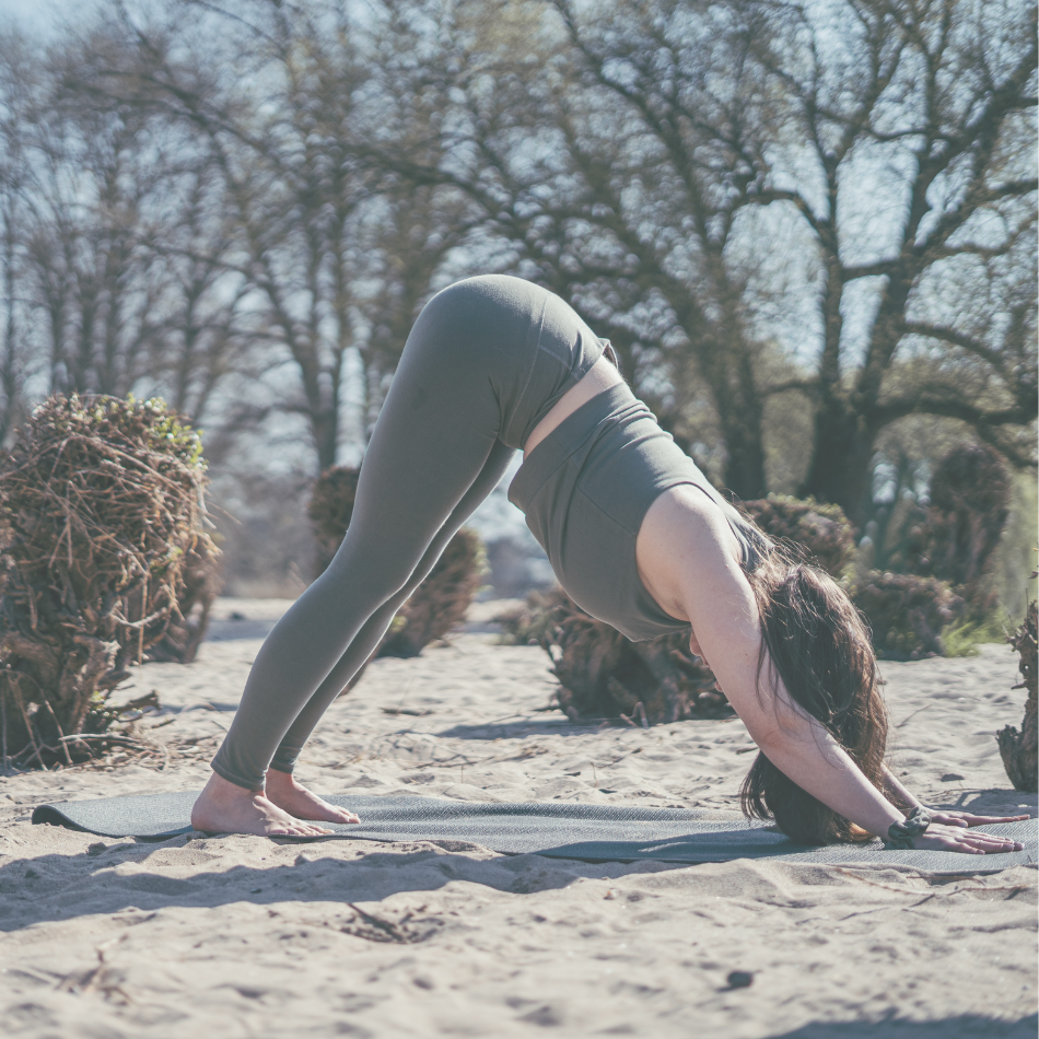 Alignment Yoga in Ratingen, Düsseldorf & online.